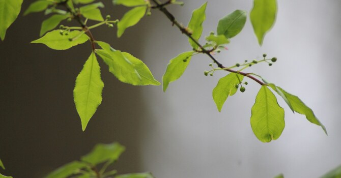 What to Expect in Your First Therapy Session