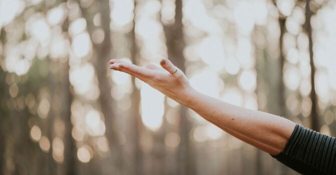 What to Expect in Your First Therapy Session image